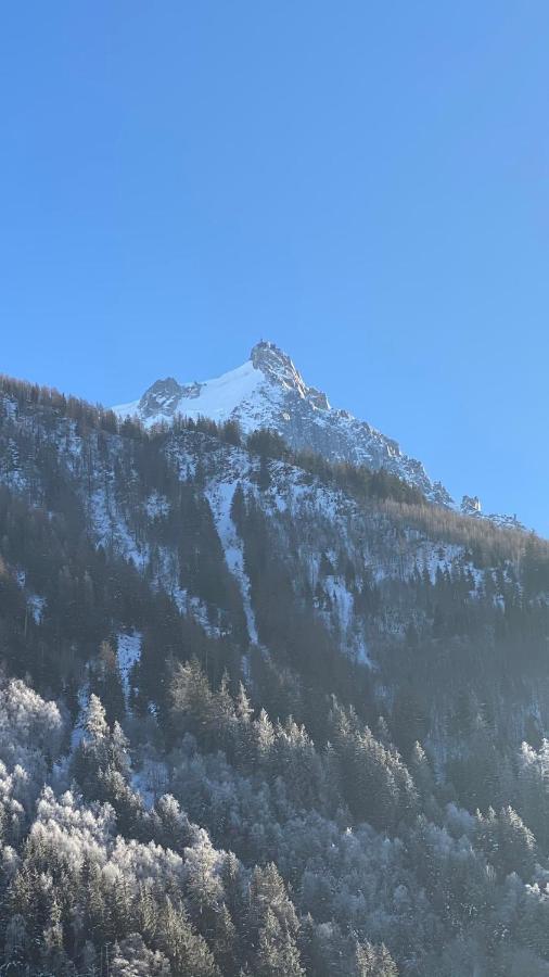 Chamois De Chamonix, Confortable 2 Pieces, Balcon, Parking Gratuit Eksteriør billede